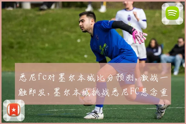 悉尼fc对墨尔本城比分预测,激战一触即发,墨尔本城挑战悉尼FC悬念重重