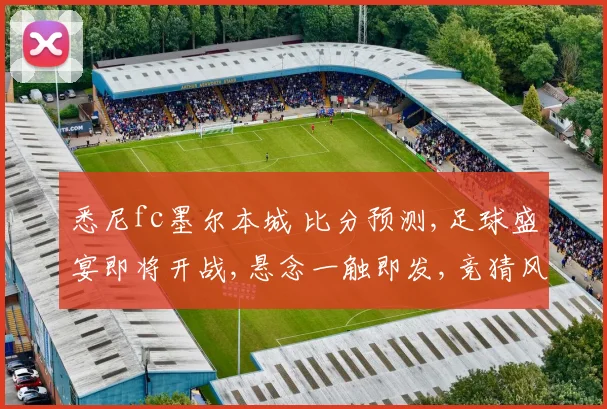 悉尼fc墨尔本城 比分预测,足球盛宴即将开战,悬念一触即发,竞猜风云,谁能笑到最后
