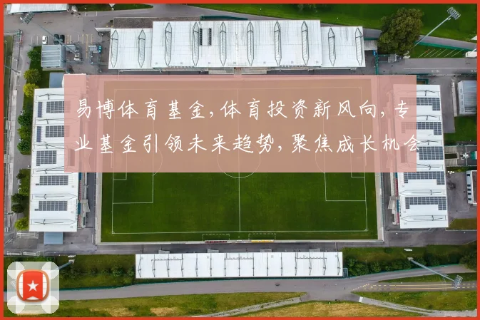 易博体育基金,体育投资新风向,专业基金引领未来趋势,聚焦成长机会,助力财富增值。